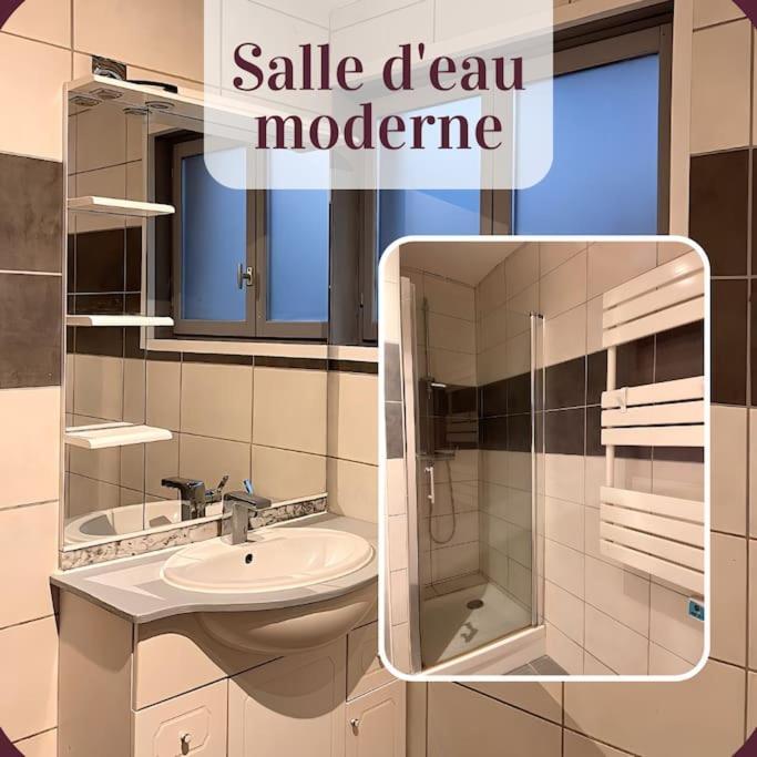 Appartement 2 Pieces Rdc En Duplex Vue Cour Parking Gratuit A 20Metres Roanne Luaran gambar